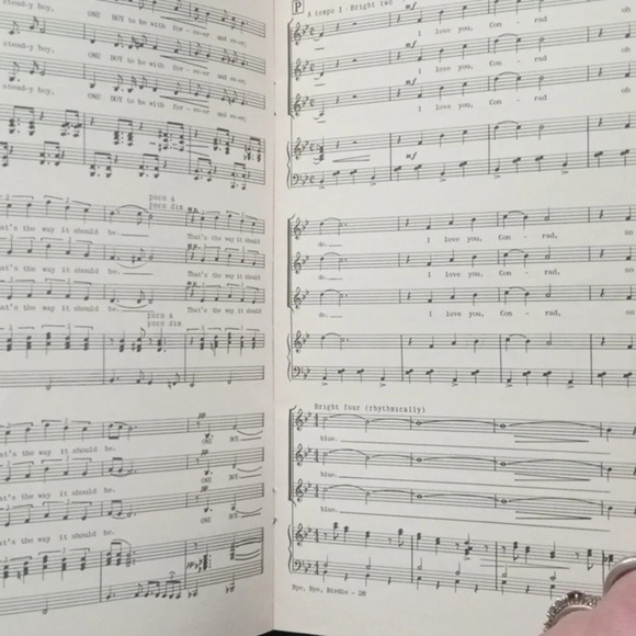 Bye Bye Birdie Medley SATB Arr. Clay Warnick Charles Strouse 1960 EH Morris 5641 - Picture 3 of 5